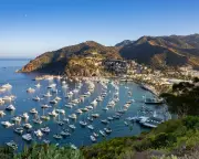 California man rescued after 30 days adrift in Pacific with broken mast