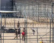 California's Largest ICE Facility Fails Healthcare Compliance, Monitor Reports