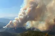 Canada's worst wildfire season fuels calls for national agency to tackle threat