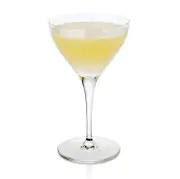 Cardamom and Lemon Gimlet: A Spicy Summer Aperitif Recipe