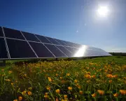 CCS is a fig leaf for fossil fuel expansion, argue experts in letters