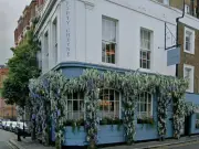 Chelsea's No. Fifty Cheyne faces licence review over noise complaints