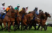 Cheltenham Festival to tackle false start surge with new measures
