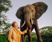 Chris Packham's Evolution Series Premieres on BBC Two Tonight