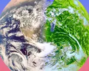 Civilisation collapse: Sarah Wilson on why it's happening and what to do