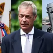 Clacton by-election set for August 13: Farage vs Binface vs human fox