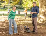 Colin From Accounts Season 3 Review: Charming Romcom Ends on a Funny, Emotional Note