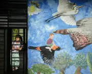Colombian Activists Vow to Resist Far-Right Push for Fossil Fuels