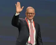 Comedian says Albanese 'shag, marry, date' comment taken out of context