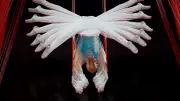 Commonwealth Games 2026 day three: gymnastics, swimming, weightlifting highlights