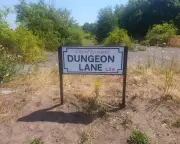 Country Diary: Dungeon Lane's Beatles nostalgia and coastal beauty