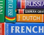 Cutting language courses will be a costly mistake, say experts