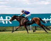 Diamond Necklace dazzles at Goodwood, Arc de Triomphe now a target