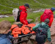 Dog rescued from Ben Nevis after eating discarded cannabis on trail