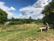 Eastbrookend Country Park: Sculpture Trail, Fishing, and Tea Room in Dagenham