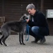 Emmerdale reassures fans as Monty the Dog faces cancer storyline