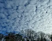 English Summer Clouds: Mackerel Skies and Mare's Tails Warn of Storms