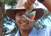 Entomologist Dino Martins champions parasites as vital to ecosystems in new book