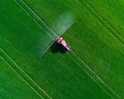 EU-Approved Pesticide Fluazinam Shows Brain Development Risks in New Study