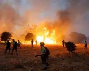 EU fire weather severity breaks records as wildfires rage across Europe