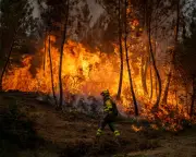 Europe Burns: EU Must Sanction US Over Climate War, Says Alexander Hurst