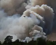 Europe's wildfires: politics must catch up with climate reality