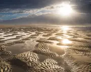 Exploring Germany's East Frisian Islands: Mudflats, Marshes, and Millions of Birds