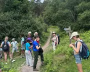 Family walking holiday in Exmoor: steam trains, tree climbing and ice-cream