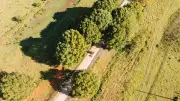 Federal rejection dashes hopes for 135km northern NSW rail trail link
