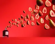 Fig Fragrances Return: Superior Scents Cut Through Sugary Dupes