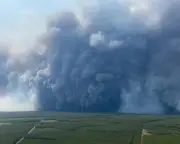 Fire clouds: how pyrocumulonimbus worsen Europe's wildfires