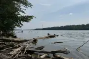 Five die trying to rescue struggling swimmer in Ohio river