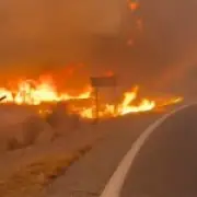 Four British tourists dead in Spanish wildfire car trap
