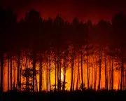 France and Spain race to contain wildfires before fresh heatwave begins