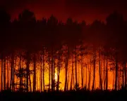 French wildfires may take weeks or months to extinguish, warns fire chief