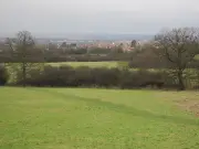 Fryent Country Park: North London's hidden gem with ponies and panoramic views