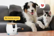 Furbo Dog Camera on Sale: Monitor Your Pet Remotely