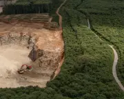 Fury Over Reform-Led Council's Plan to Expand Quarry in Ancient Kent Woodland