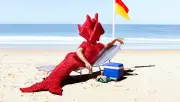 Gerwyn Davies' Sunburn: A Surreal Love Letter to Coastal Australiana