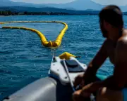 Greece installs floating barrier to protect swimmers from toxic pufferfish