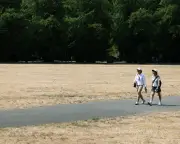 Half of England officially in drought as July driest on record