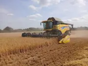 Harvest begins three weeks earlier than two decades ago in Lincolnshire