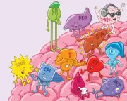Hormone myths busted: HRT, testosterone, cortisol, melatonin and more