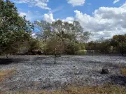 Hornchurch Fire: 60 Firefighters Battle 6 Hectare Grass Blaze
