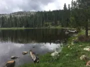 Hostage US Forest Service employees released after 12-hour standoff