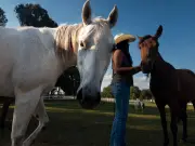 How a Black family's North Carolina farm became a Latino cultural hub