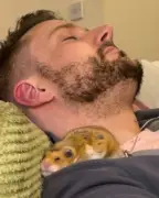 How a hamster named Popcorn helped me find calm, a diagnosis, and love
