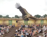 How Art and Spectacle Transformed a Former Durham Mining Town