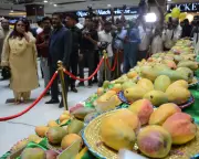 How South Asian mangoes unite Pakistan and India in Australian winter