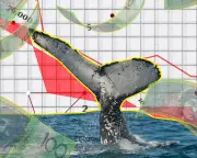 Humpback whales, house prices, missing cash in The Crunch newsletter